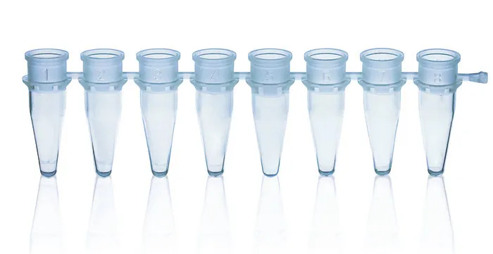 BRAND 8er PCR-Gefäßstreifen 0,2 ml, blau, BIO-CERT PCR QUALITY BRAND 8er PCR-Gefäßstreifen 0,2 ml, blau, BIO-CERT PCR QUALITY (125 Stk.) – Bild 1