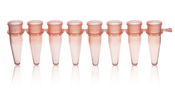 BRAND 8er PCR-Gefäßstreifen 0,2 ml, rosa, BIO-CERT PCR QUALITY BRAND 8er PCR-Gefäßstreifen 0,2 ml, rosa, BIO-CERT PCR QUALITY (125 Stk.) – Bild 1