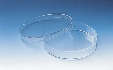 Glasklare, stapelbare BRAND Petrischale aus Polystyrol (PS) mit Deckel, temperaturstabil bis 60 °C für mikrobiologische Anwendungen im Labor.