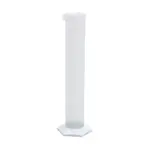 Ganzansicht eines BOLA PTFE/TFM Messzylinders mit Sechskantfuß, Ausguss und Skalierung für den Laborbedarf.