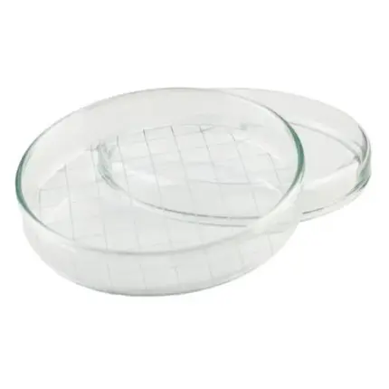 Assistent Petrischale aus Glas mit Netzteilung und Deckel, speziell für die Trichinenbeschau und präzise mikroskopische Auswertungen im Labor.