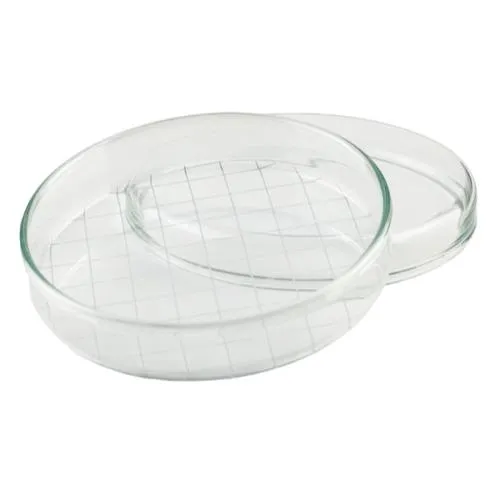 Assistent Petrischale mit Netzteilung Glas Trichinenbeschau Assistent Petrischale aus Glas mit Netzteilung und Deckel, speziell für die Trichinenbeschau und präzise mikroskopische Auswertungen im Labor.