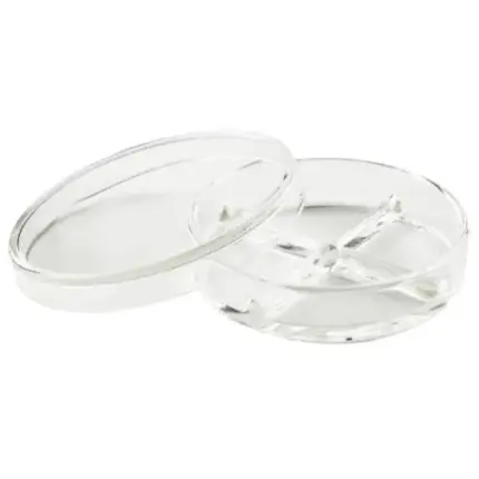 Geteilte Assistent Petrischale aus DURAN Borosilikatglas 3.3 mit Deckel für mikrobiologische Kulturen, sterilisierbar bei 121 °C.