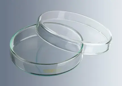 Marienfeld Petrischale aus Kalknatronglas der 3. hydrolytischen Klasse, sterilisierbar bis 121 °C für mikrobiologische Anwendungen und Laborarbeiten.