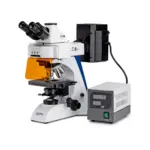KERN OBN 148 Fluoreszenzmikroskop, trinokular, mit 20 W Halogen- und 100 W HBO-Beleuchtung