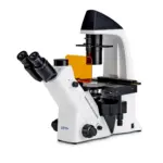 KERN OCM 167 inverses Fluoreszenzmikroskop mit trinokularem Strahlengang, Infinity Plan-Objektiven und LED-Fluoreszenzbeleuchtung