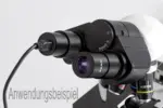 KERN ODC-874 Universal USB 2.0 Okularkamera mit 3,1 MP als Anwendungsbeispiel an einem Mikroskop
