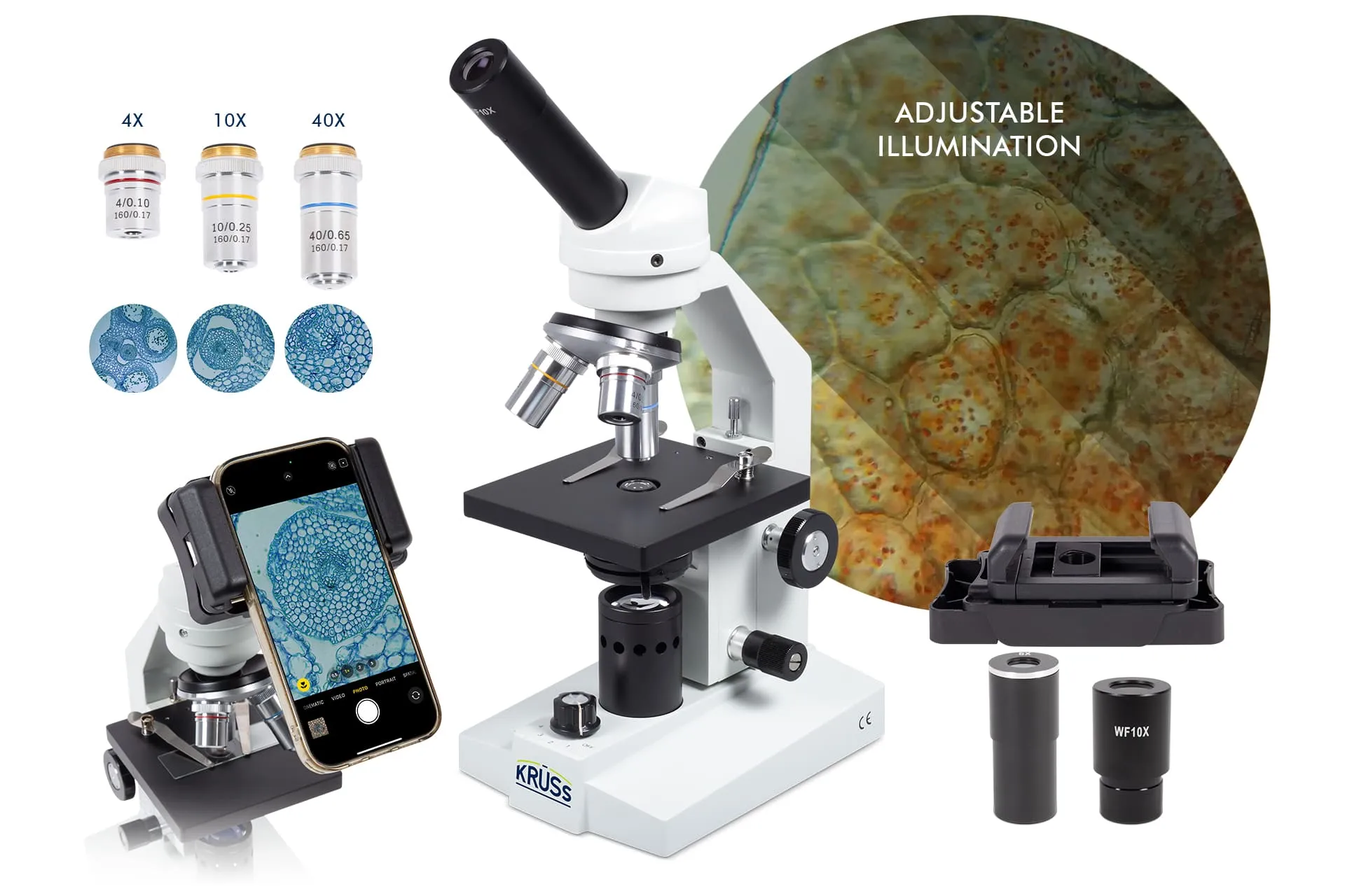AKRÜSS Monokular Mikroskop Anfänger Kruess MML1300 SET A.KRÜSS Monokular-Mikroskop MML1300 Anfänger-Mikroskop mit Smartphone-Adapter achromatisch 4x–40x