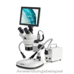 Anwendungsbeispiel der KERN ODC 241 Mikroskop-Tablet-Kamera (9,7" Touchscreen, 5 MP, C-Mount) montiert auf einem Mikroskop mit externer Beleuchtung