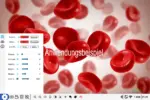 KERN ODC 251 – Mikroskop-Tablet-Kamera (10,5" HD Touchscreen, 8 MP 4K, C-Mount) – Bild 7
