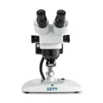KERN OZL 445 – Binokulares Stereo-Zoom-Mikroskop (Greenough-Optik, Säulenständer) – Bild 4