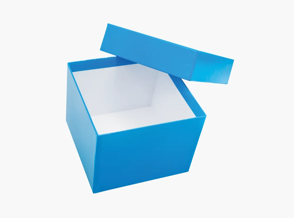 CAPP Expell Papp-Kryobox B9 50 mm Blau geöffnet CAPP Expell Papp-Kryobox B9 in blauer Ausführung mit geöffnetem Deckel vor hellem Hintergrund