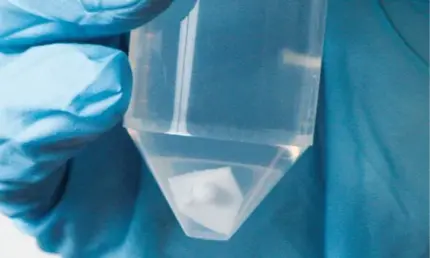 Mit Handschuhen gehaltenes Laborgefäß mit einem BOLA Flügel-Magnetrührstab aus PTFE für präzises Mischen.